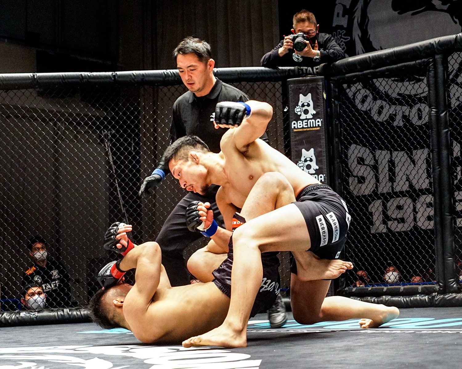 Deux combattants de MMA en phase de combat au sol, sous la surveillance de l’arbitre